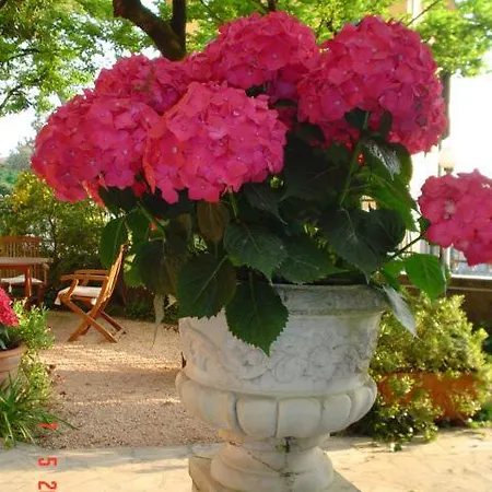 Hotel La Fonte 2*
